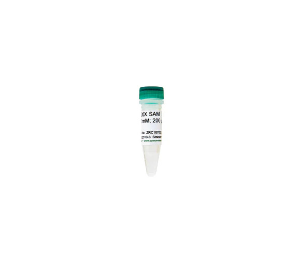 20X SAM (S-adenosylmethionine)