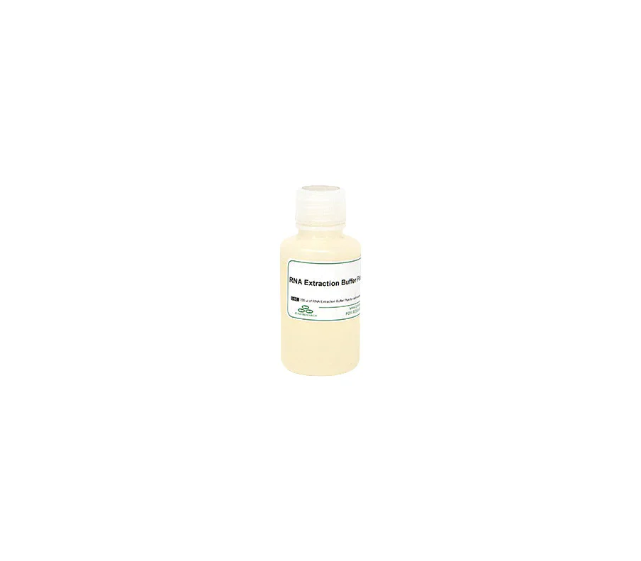 RNA Extraction Buffer Plus